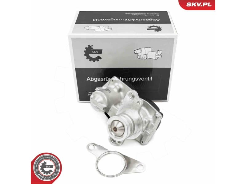 EGR Valve 14SKV267