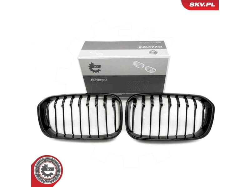 Radiator Grille 66SKV020