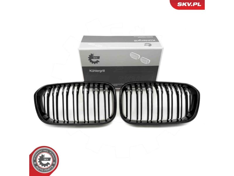 Radiator Grille 66SKV021