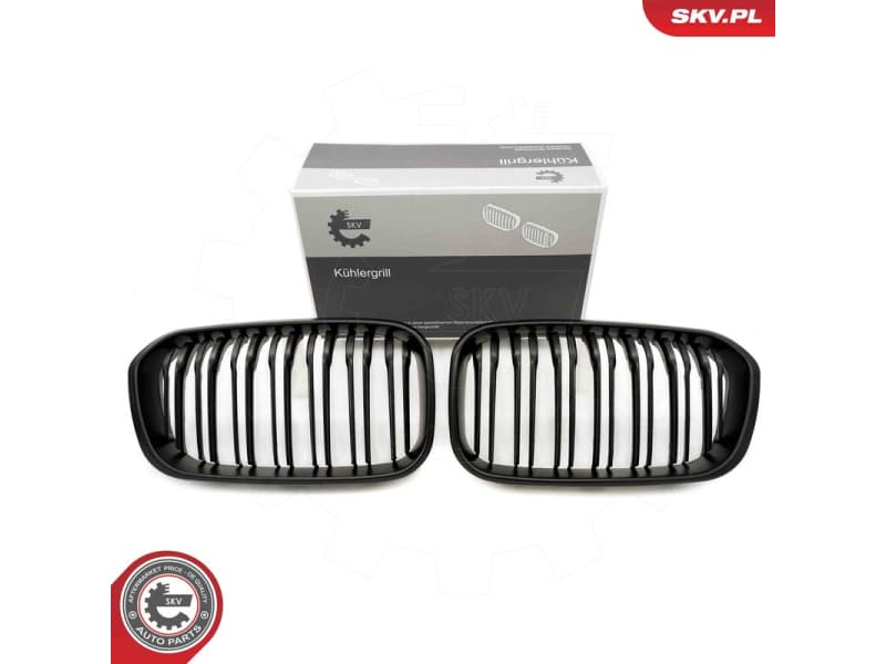 Radiator Grille 66SKV022