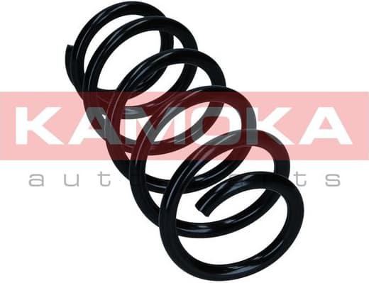 Suspension Spring 2120500