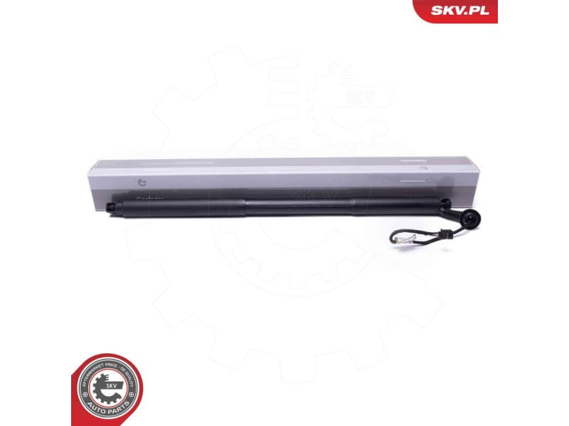 Electric Motor, tailgate 52SKV969