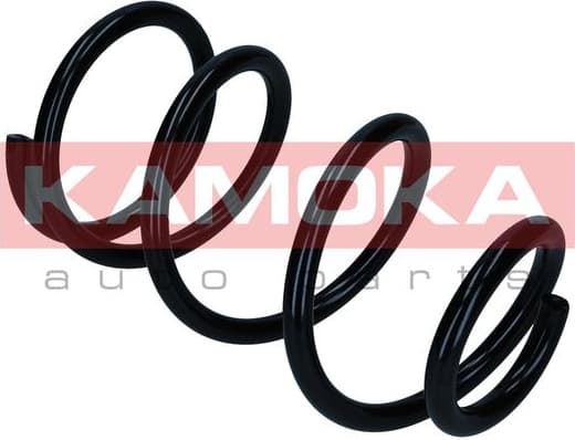 Suspension Spring 2110513 - image 4