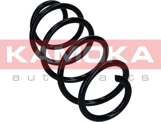 Coil spring 2110846