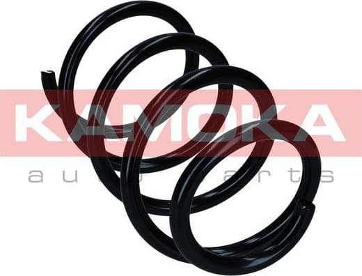 Suspension Spring 2110655 - image 3