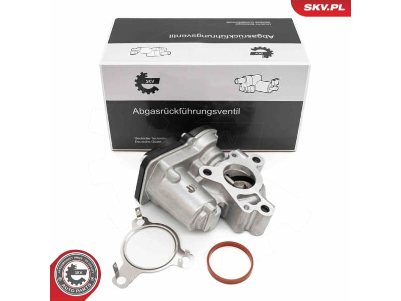 EGR Valve 14SKV276
