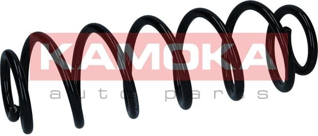 Suspension Spring 2120657 - image 2