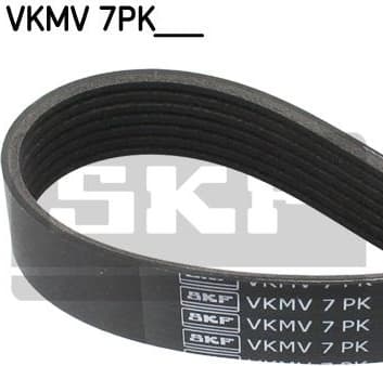 Belt PK-multirib VKMV 7PK1716