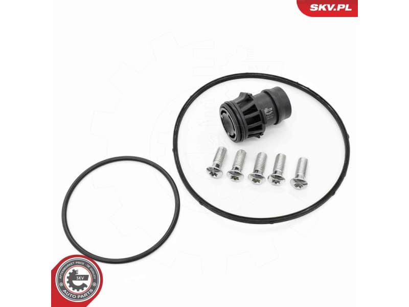 Repair Set, vacuum pump (braking system) 18SKV810 - image 2