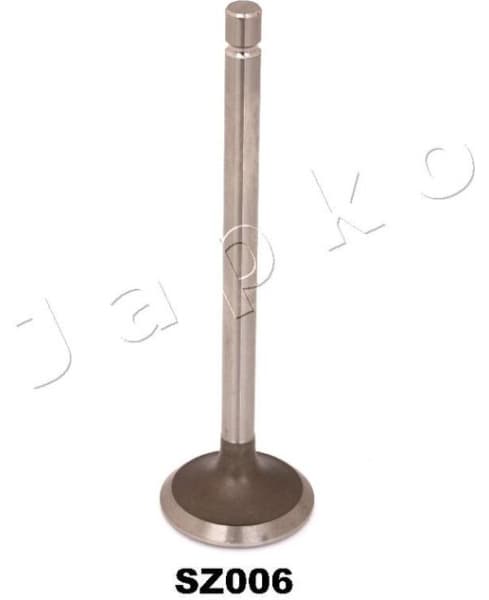 Exhaust Valve 5SZ006
