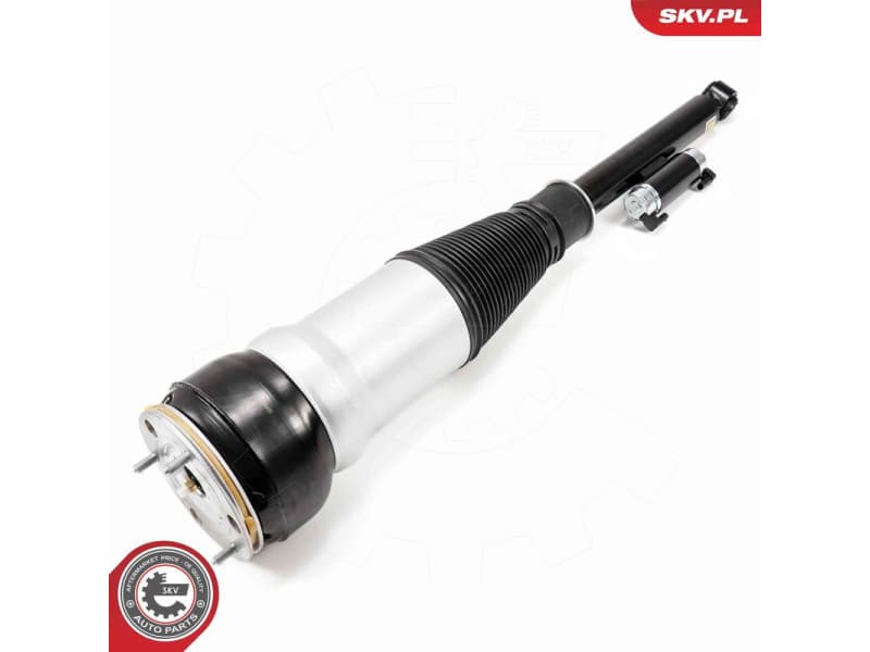 Air Suspension Strut 58SKV725 - image 2