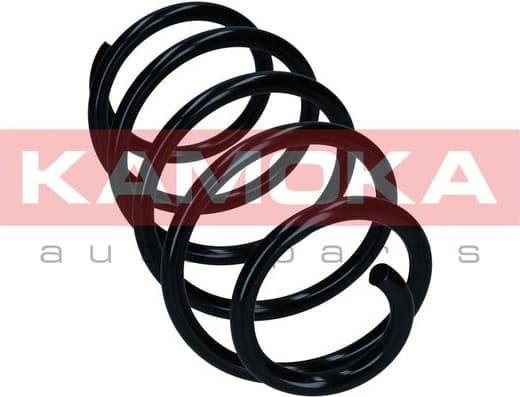 Suspension Spring 2110752