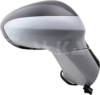 Exterior Mirror 6142443