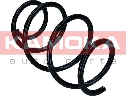 Suspension Spring 2110586