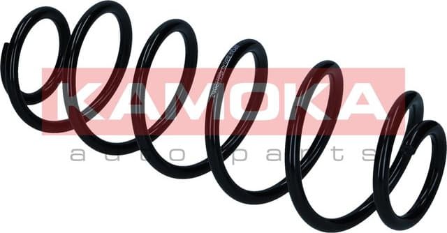 Suspension Spring 2120570