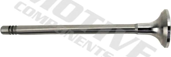 Intake Valve IV10014