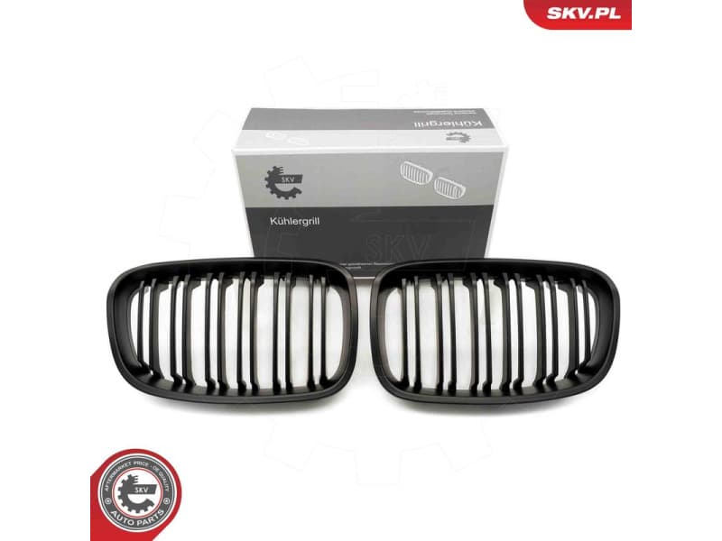 Radiator Grille 66SKV018