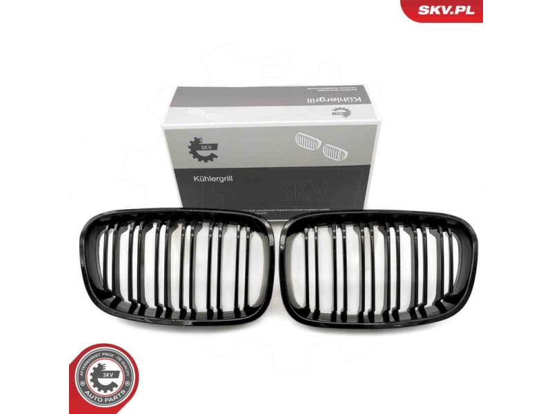 Radiator Grille 66SKV016