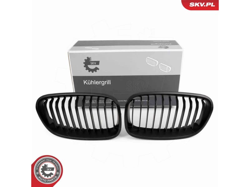 Radiator Grille 66SKV014