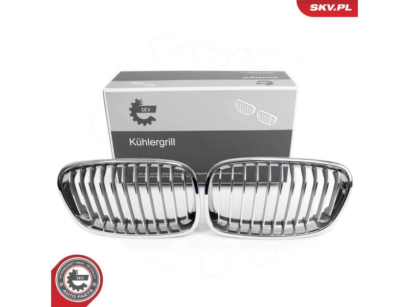 Radiator Grille 66SKV015