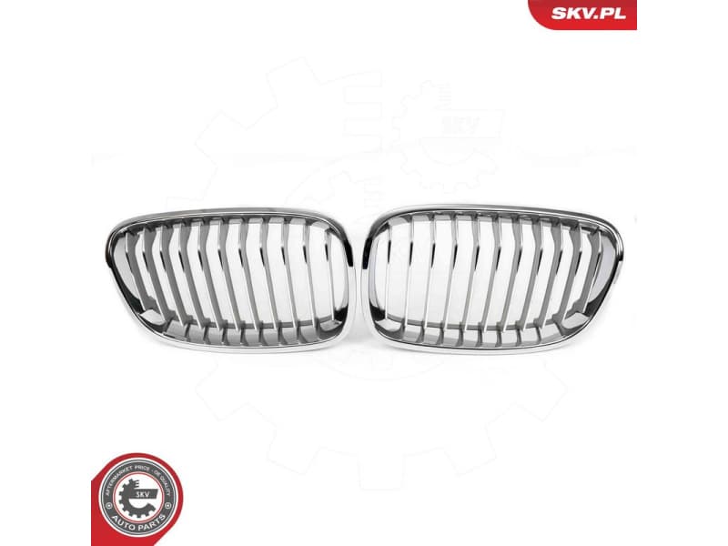 Radiator Grille 66SKV015 - image 2