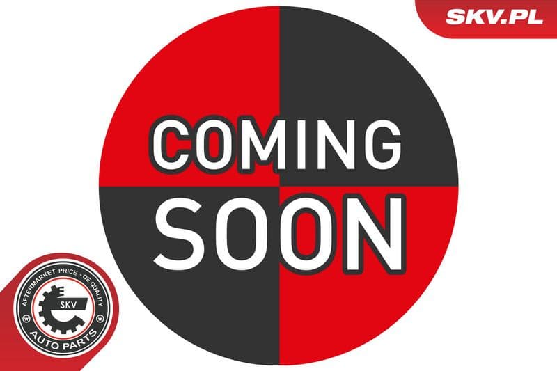 Wheel Sensor, tyre-pressure monitoring system 70SKV058