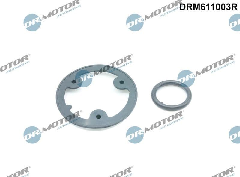 Gasket Set, oil cooler DRM611003R