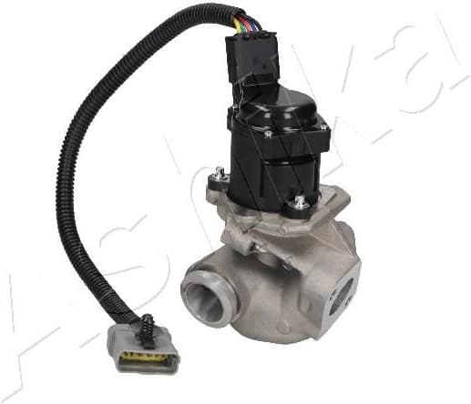 EGR Valve 150-00-0306