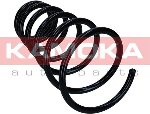 Coil spring 2120464