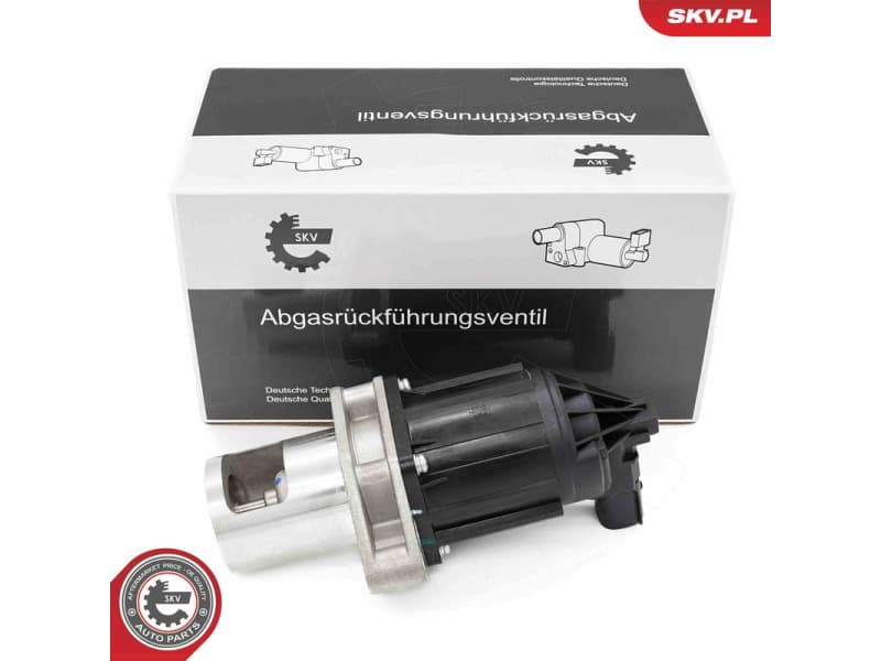 EGR Valve 14SKV284