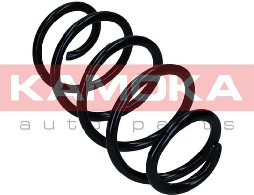 Coil spring 2110765