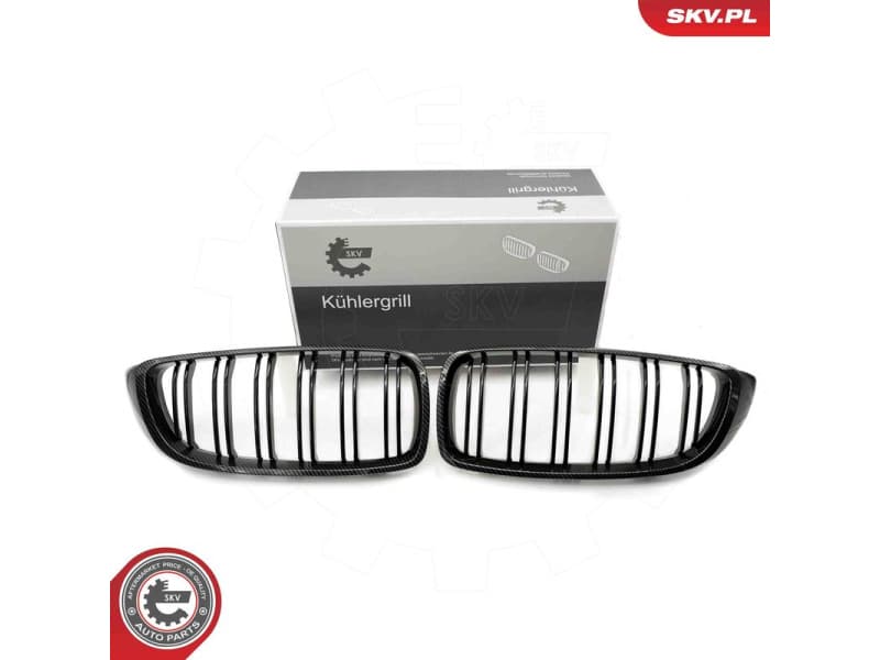 Radiator Grille 66SKV151