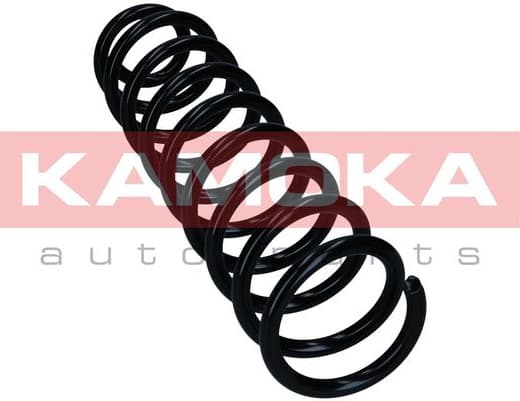 Suspension Spring 2110617