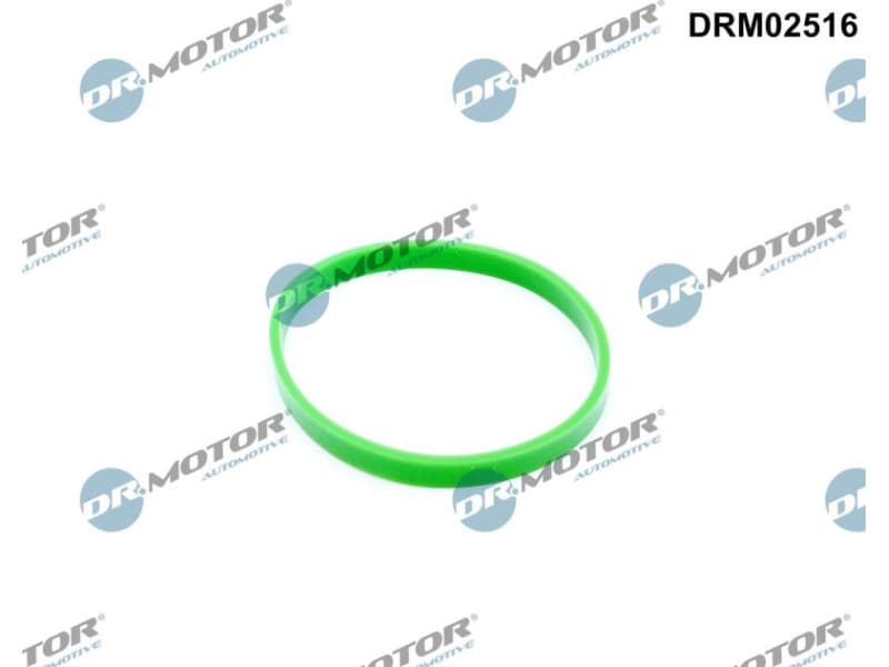 Gasket, intake manifold DRM02516