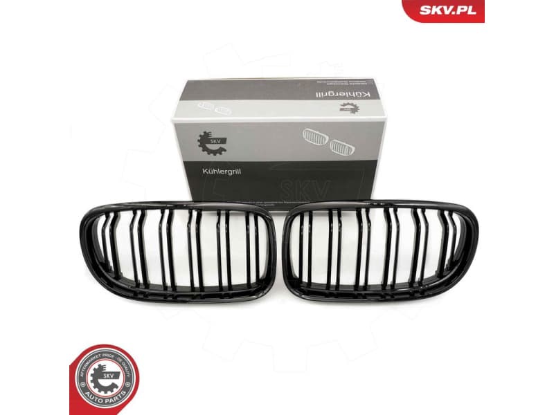Radiator Grille 66SKV099