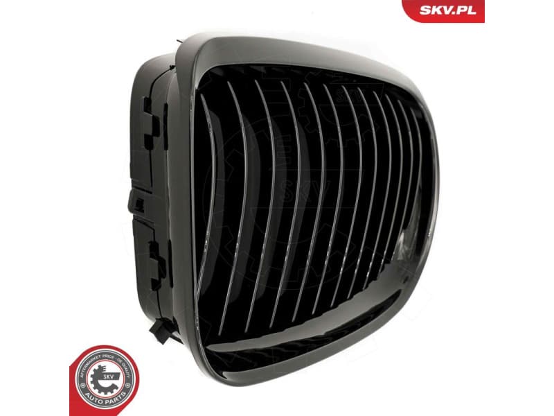 Radiator Grille 66SKV095 - image 6