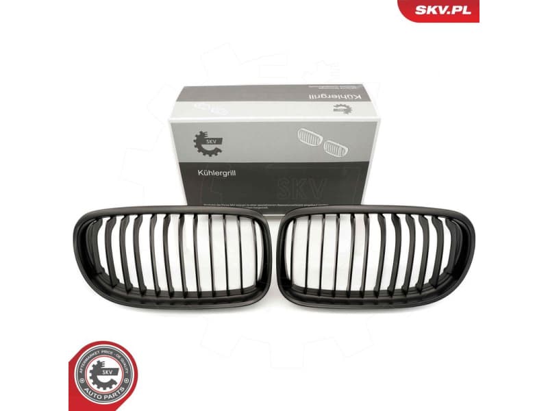 Radiator Grille 66SKV097