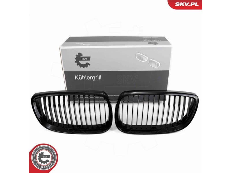 Radiator Grille 66SKV104
