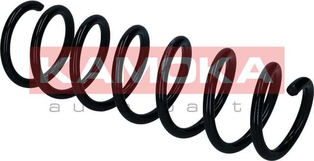 Suspension Spring 2110418