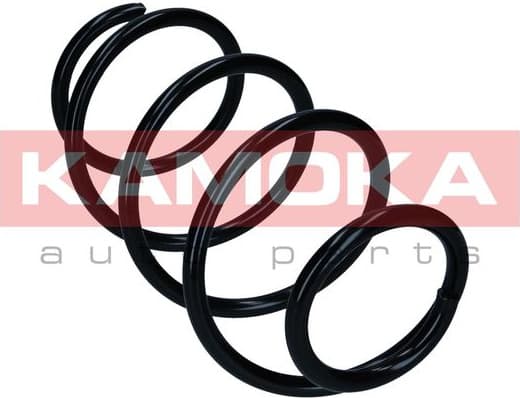 Suspension Spring 2110568