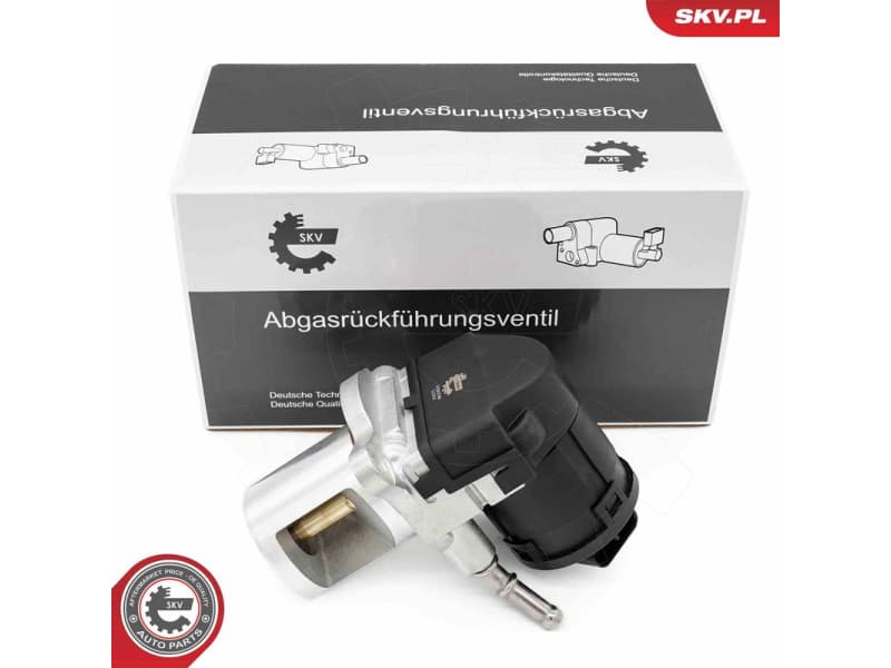 EGR Valve 14SKV266