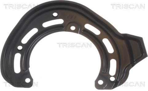 Splash Guard, brake disc 8125 24119