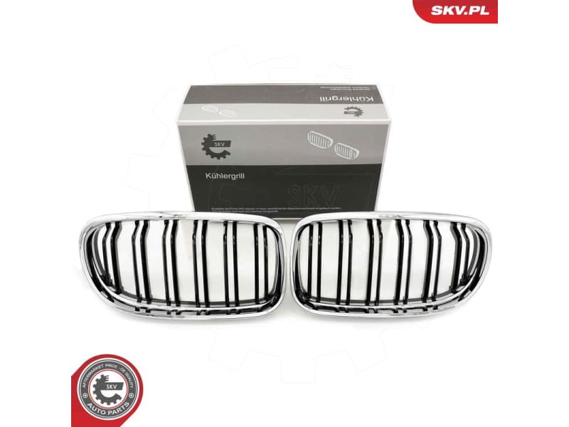 Radiator Grille 66SKV102
