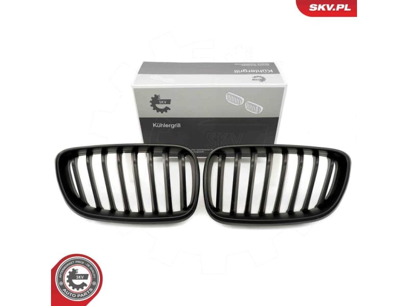Radiator Grille 66SKV030