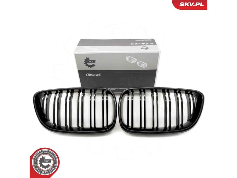 Radiator Grille 66SKV032