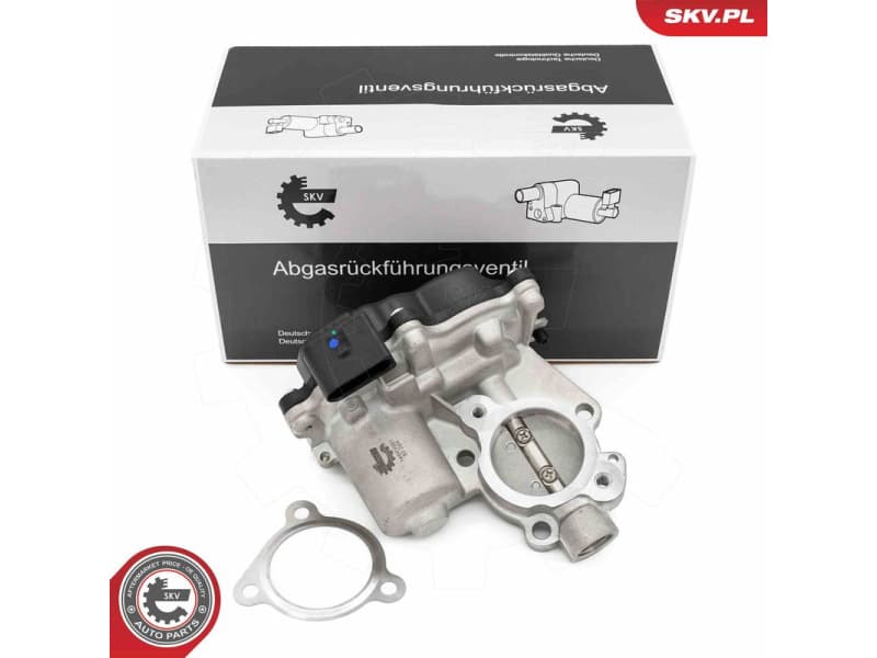 EGR Valve 14SKV281