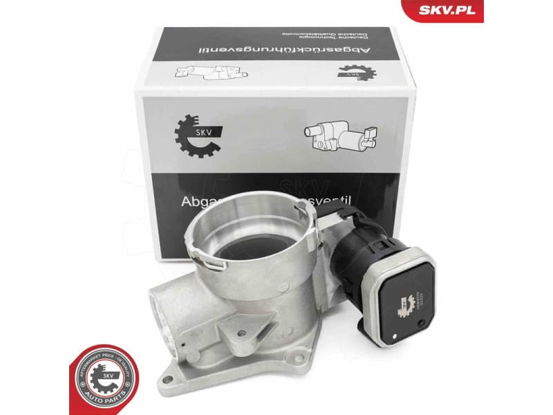 EGR Valve 14SKV279