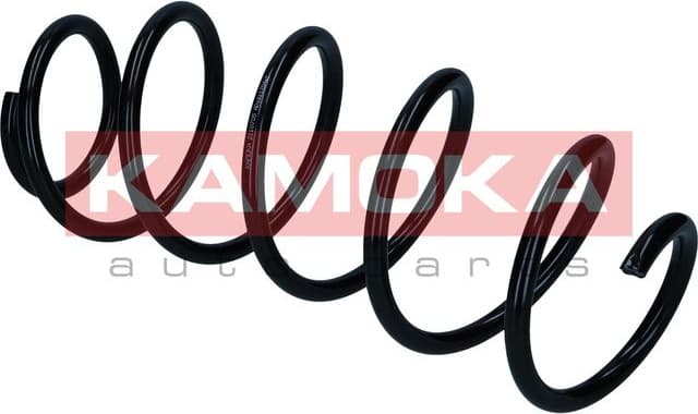 Suspension Spring 2110705