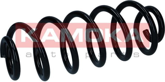 Suspension Spring 2120565 - image 2