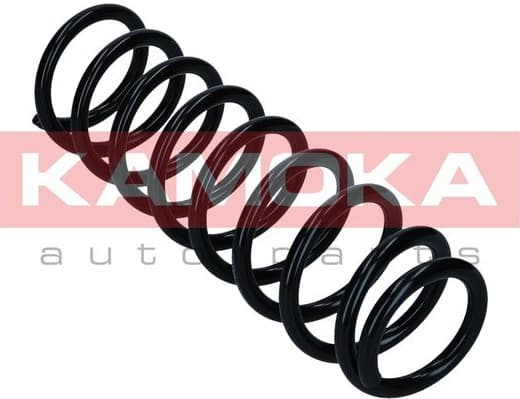 Suspension Spring 2120335 - image 3